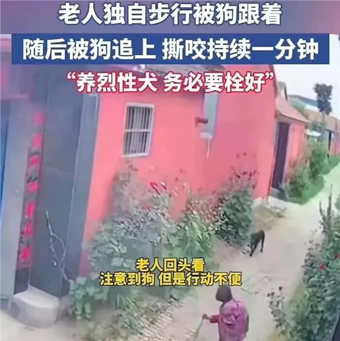 强烈建议立法:对宠物狗出门不拴绳的，依法捕杀，并对狗主人严惩