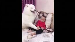 狗狗的爪子：敏感与警惕的象征