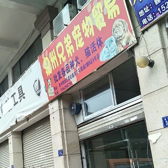 泉州兄弟宠物贸易:泉州市鲤城区