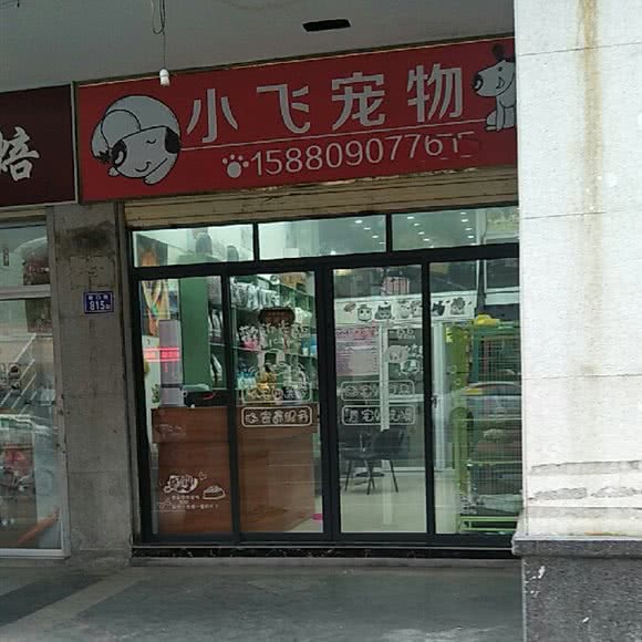 小飞宠物:泉州市鲤城区