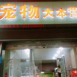 宠物大本营:泉州市鲤城区