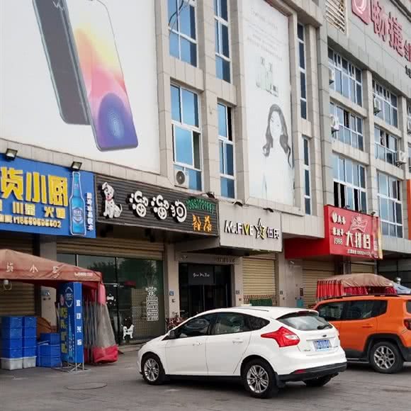 溜溜狗:泉州市丰泽区