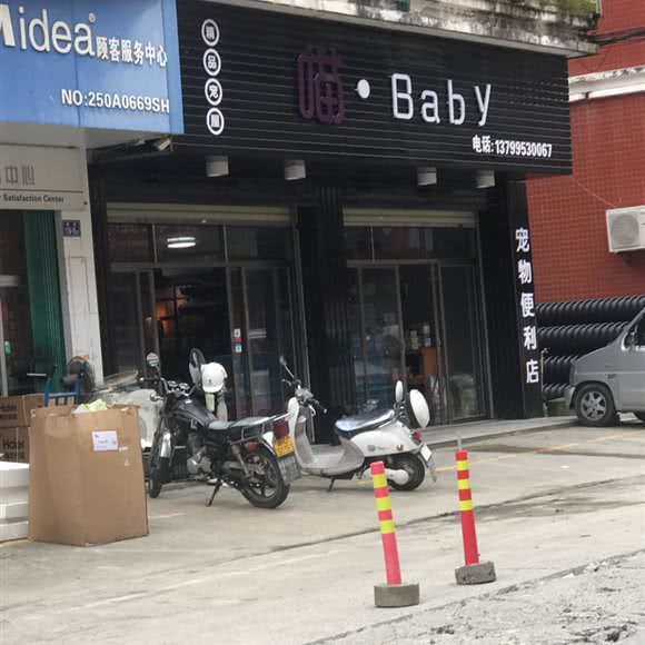 喵Baby:泉州市洛江区