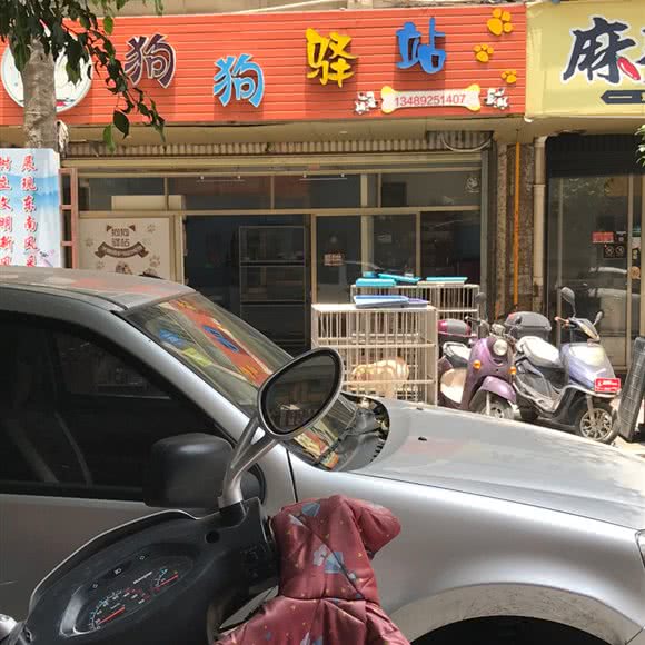 狗狗驿站:泉州市惠安县