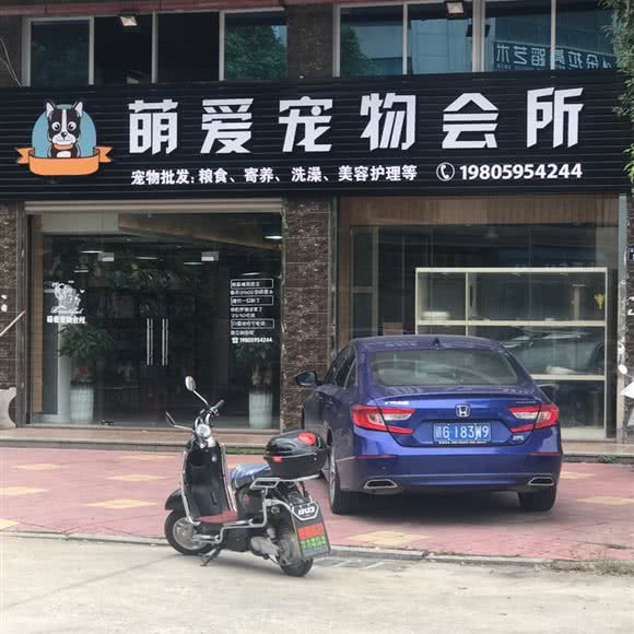 萌爱宠物会所:泉州市安溪县