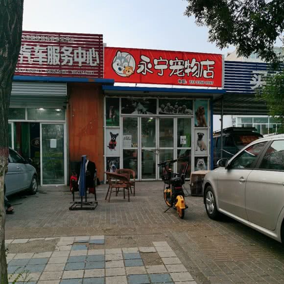 永宁宠物店:吕梁市离石区东关附近