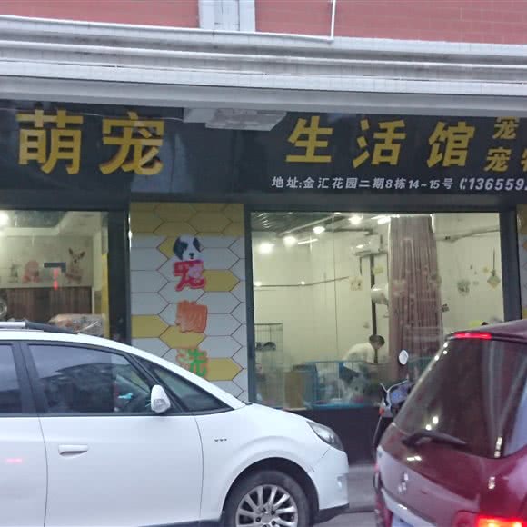 萱萱萌宠:泉州市石狮市