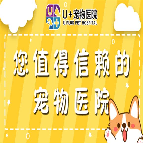 优佳宠物医院:泉州市石狮市
