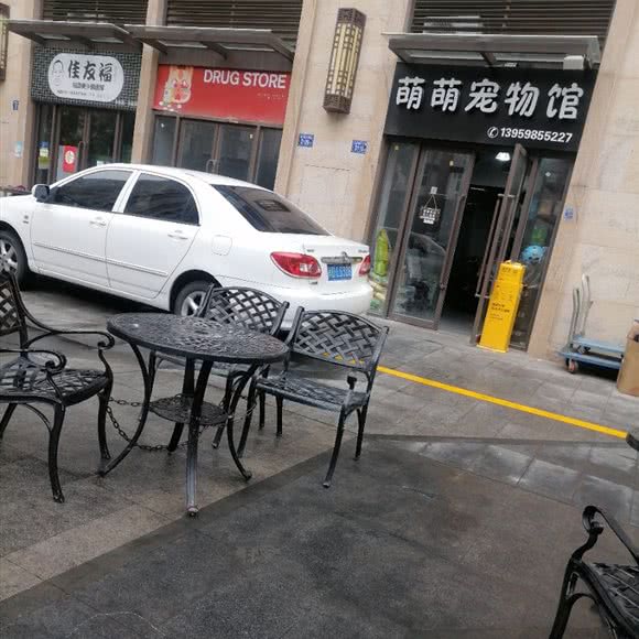 萌萌宠物馆:泉州市晋江市