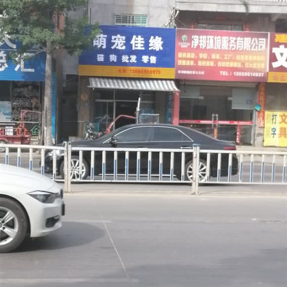 萌宠佳缘:泉州市晋江市
