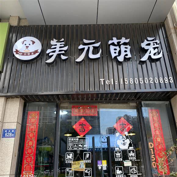 美元萌宠:泉州市晋江市