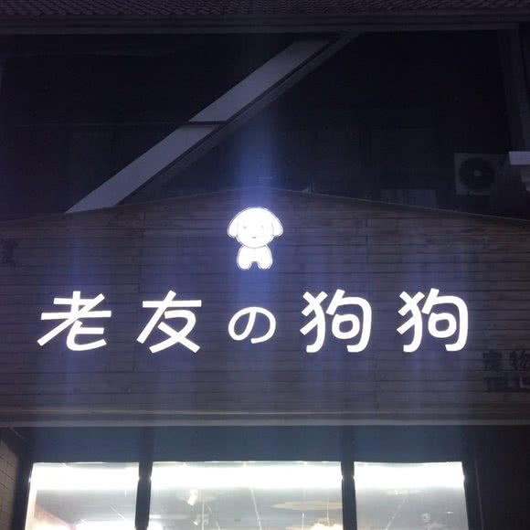 老友的狗狗:呼和浩特市新城区摩尔城附近