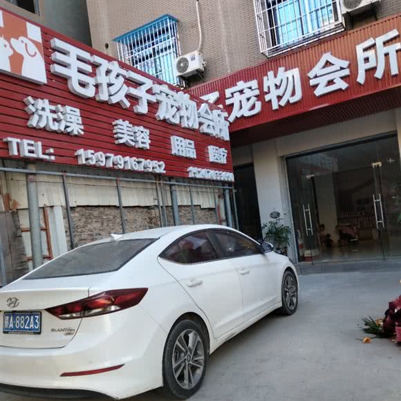 毛孩子狗狗会所:泉州市南安市