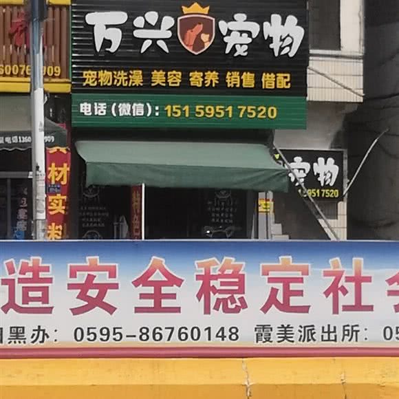 万兴宠物:泉州市南安市