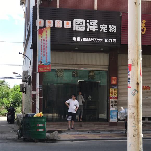 恩泽狗狗:泉州市南安市