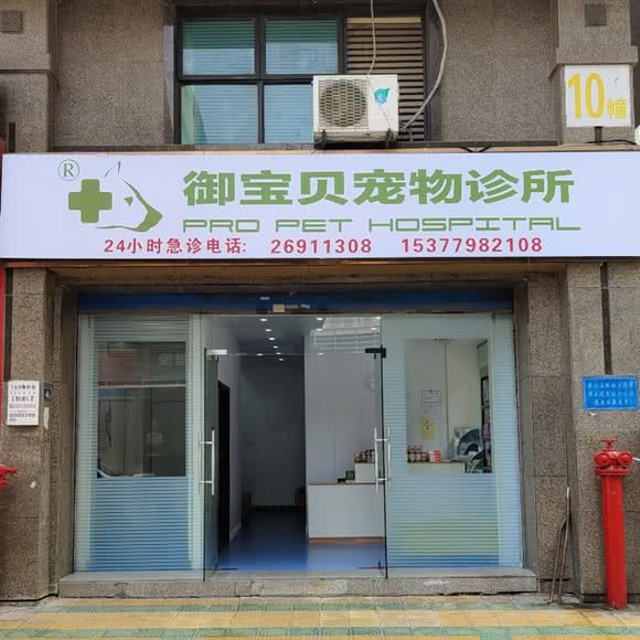 御宝贝宠物医院(水头分院):泉州市南安市
