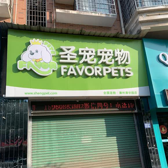 圣宠宠物狗:漳州市芗城区