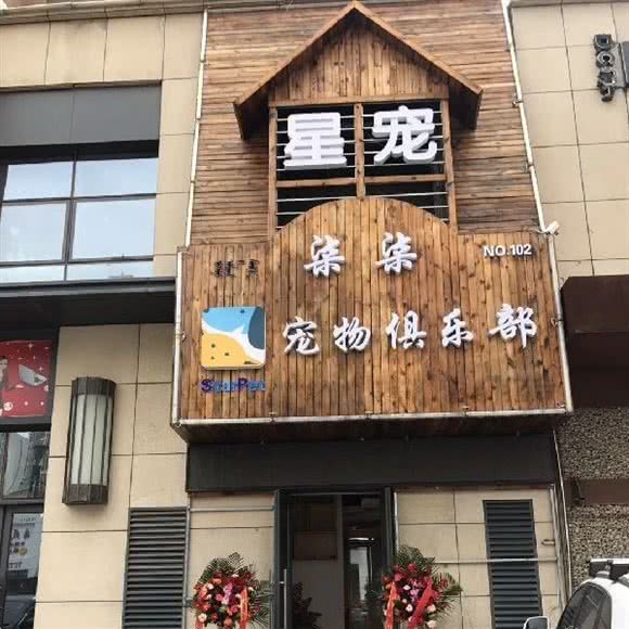 星宠狗狗俱乐部:呼和浩特市新城区万达附近