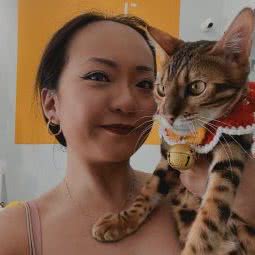 PETKIT小佩宠物(万达店):呼和浩特市新城区万达附近
