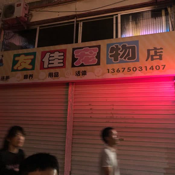 友佳宠物店:南平市顺昌县