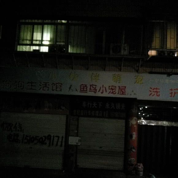 小伙伴萌宠:南平市顺昌县