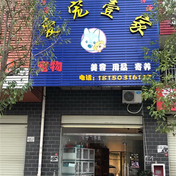 爱宠壹家宠物店:龙岩市长汀县