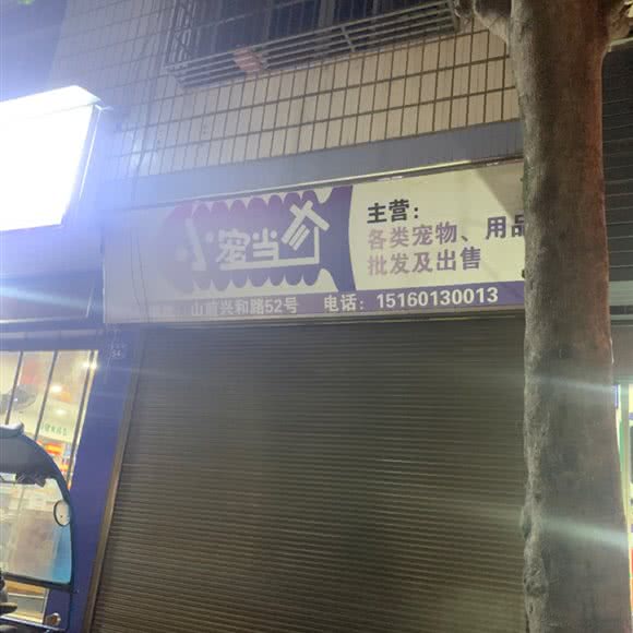 小宠当家:宁德市福鼎市
