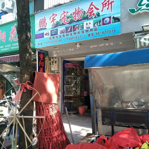 鹏宇宠物会所:宁德市福鼎市