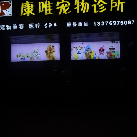 康唯宠物诊所:宁德市福鼎市