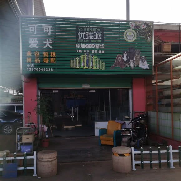 可可爱犬优瑞派:南昌市青山湖区