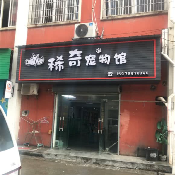 稀奇宠物馆:南昌市南昌县