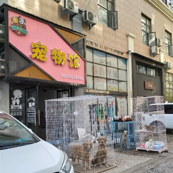 琥珀宠物馆:景德镇市昌江区