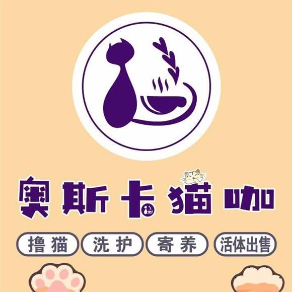 奥斯卡猫咖:景德镇市昌江区
