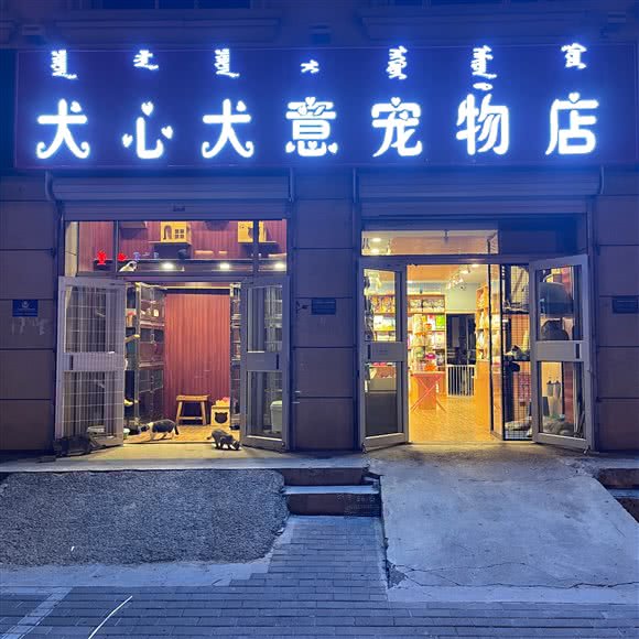 犬心犬意宠物会馆:呼和浩特市新城区阿尔泰附近