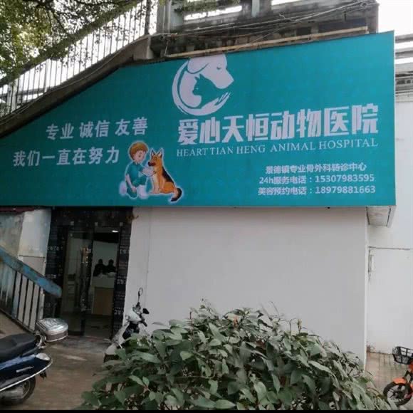 爱心天恒动物医院:景德镇市珠山区