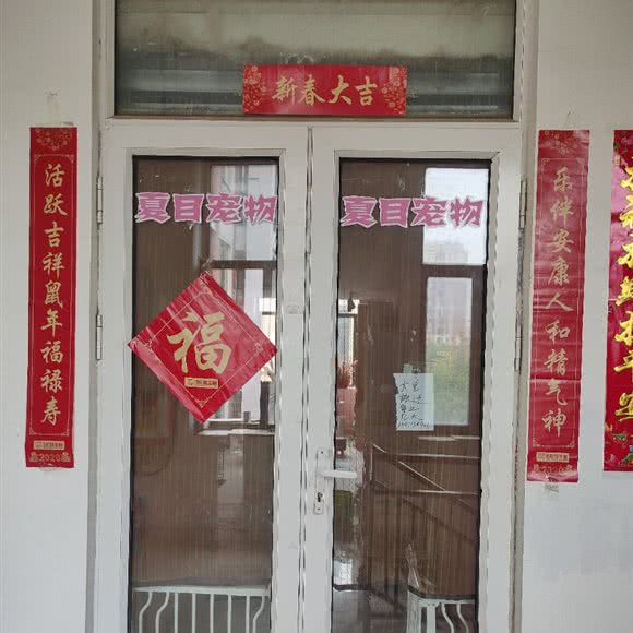 夏目宠物狗:呼和浩特市新城区阿尔泰附近