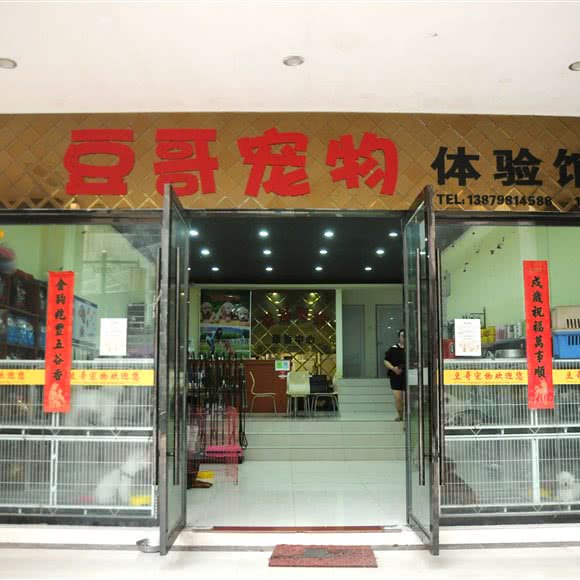 豆哥宠物:景德镇市乐平市