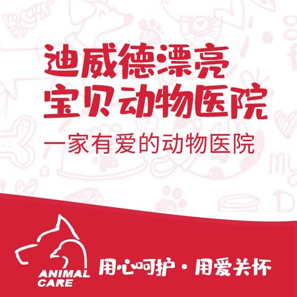 迪威德漂亮宝贝动物医院:北京城区朝阳区东坝附近