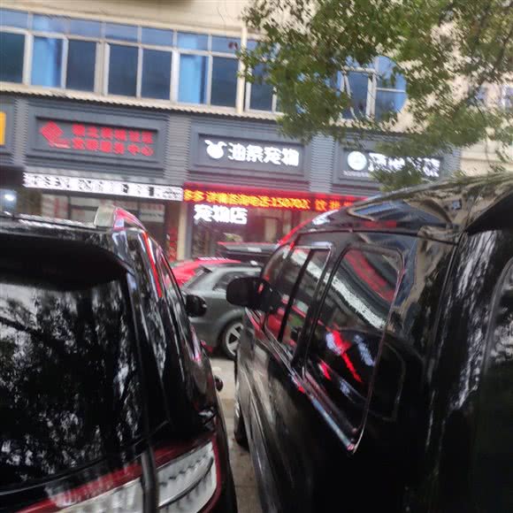 油条宠物:九江市濂溪区