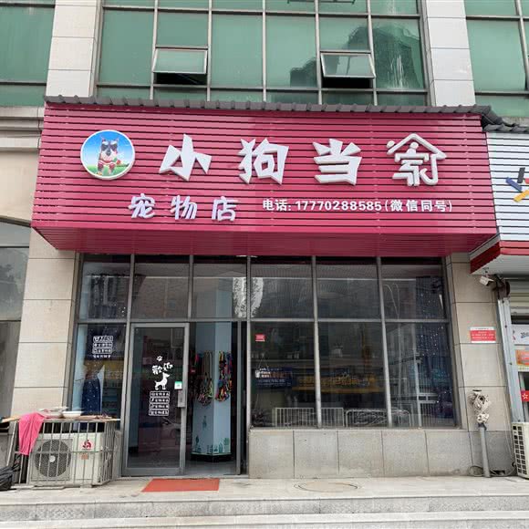 小狗当家宠物店:九江市濂溪区