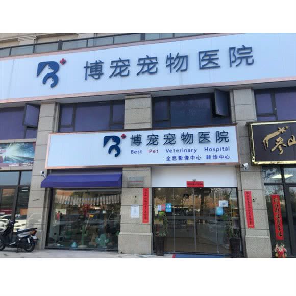 博宠宠物医院:九江市濂溪区