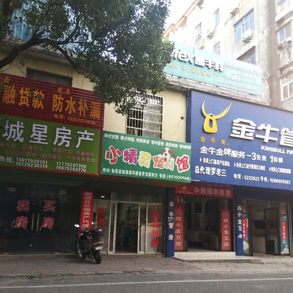 小精灵宠物馆:九江市都昌县