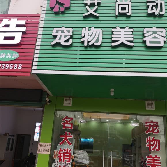 艾尚动宠物美容(都昌分店):九江市都昌县