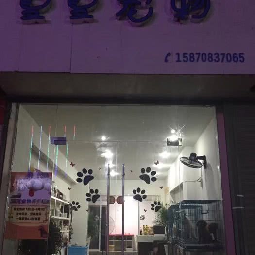 夏夏宠物:九江市彭泽县