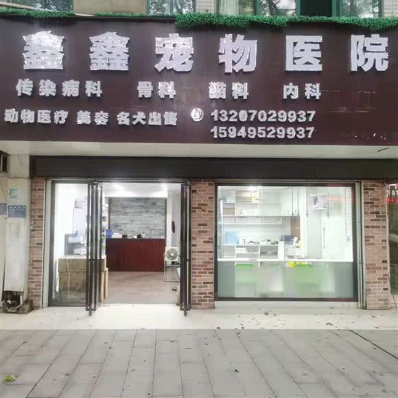 鑫鑫宠物医院:九江市共青城市