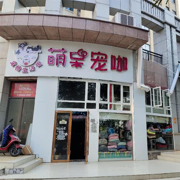 萌呆宠咖宠物生活馆:赣州市章贡区