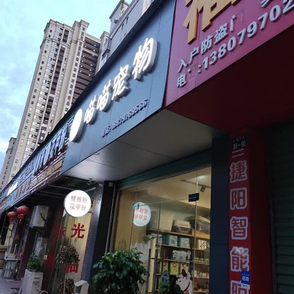 喵喵宠物:赣州市章贡区