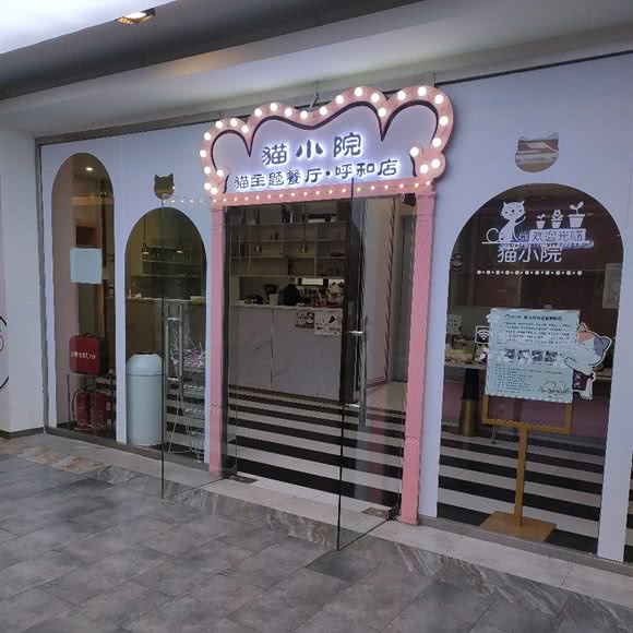 猫院子的宠物店:呼和浩特市回民区海亮附近