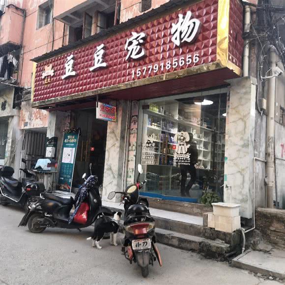 豆豆宠物:吉安市吉州区
