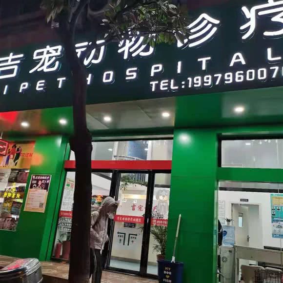 吉宠动物诊疗:吉安市吉州区